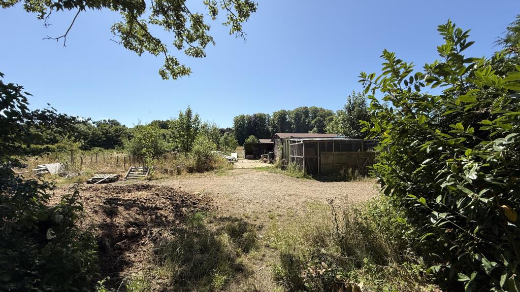 Lot: 42946 - RARE FREEHOLD OPPORTUNITY - A SUBSTANTIAL AND ESTABLISHED RESIDENTIAL, COMMERCIAL AND GRAZING LAND COMPLEX - Exterior image of paddock area